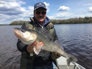 Spring Walleye on Lac Seul