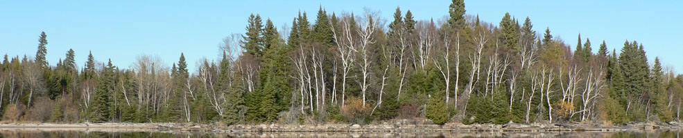 Spring on the Lake